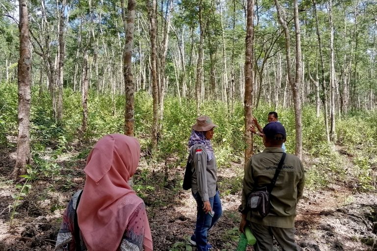 Pengecekan Lokasi RHL